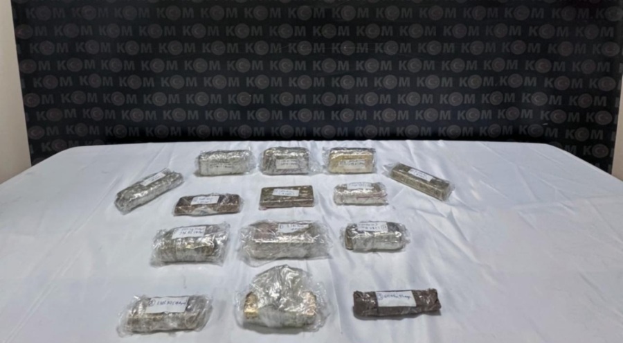 Kapıkule'de 25 kilo altınla yakalanmıştı! Tutuklandı