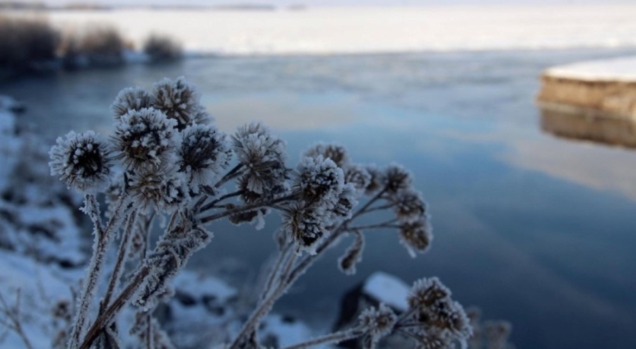 Ardahan'da soğuk hava etkisi! Kura Nehri buz tuttu