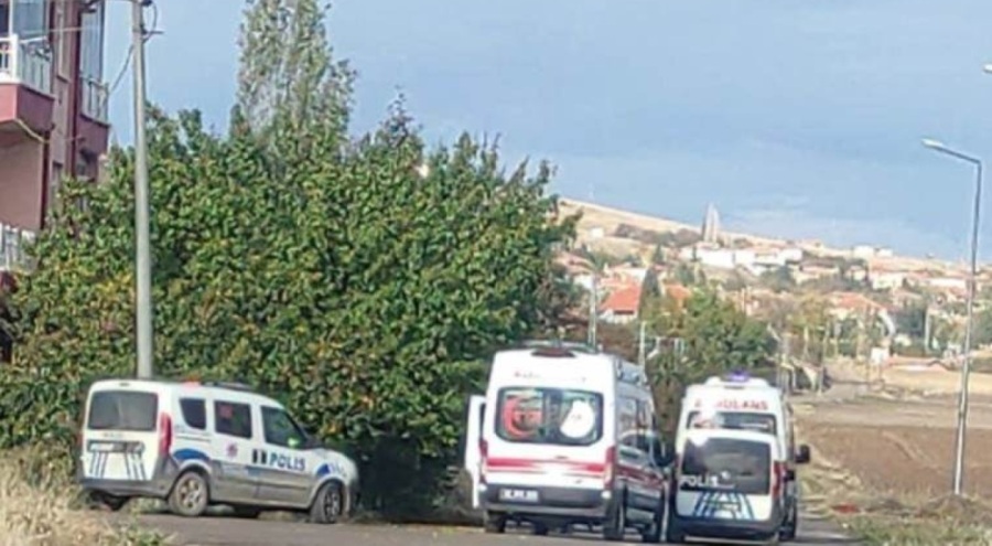 Tartıştığı kayınvalidesini bıçakla öldürdü!