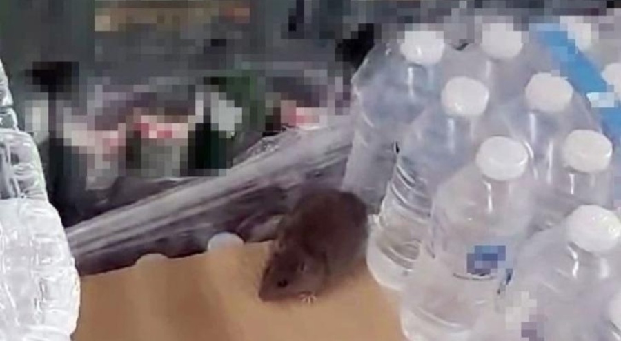 Ünlü market zincirinde reyonda dolaşan fare şoku!