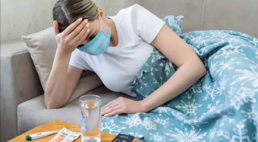 Panik yaratan domuz gribi alarmı!