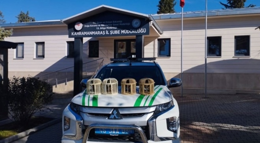 Konteyner kentte keklik beslemeye ceza!