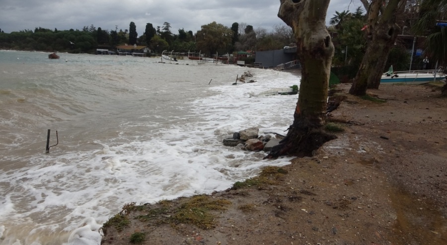 Tuzla'da lodos nedeniyle denizle kara birleşti! Tekneler battı