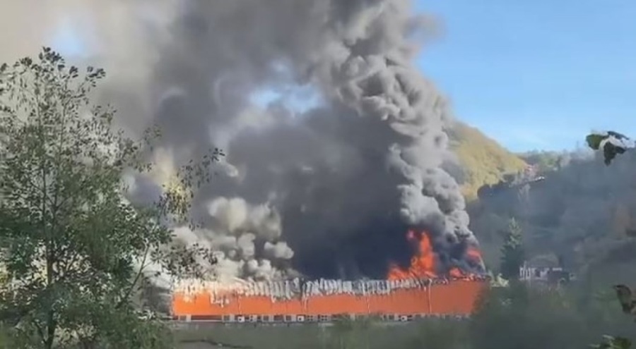 Giresun'da balık fabrikasında yangın paniği