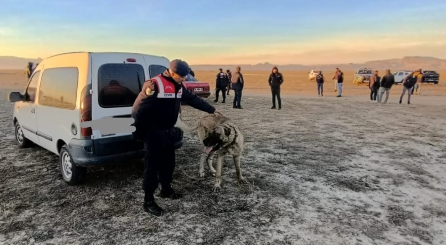 Bahisle köpek dövüştüren 37 kişiye 150 bin TL ceza!