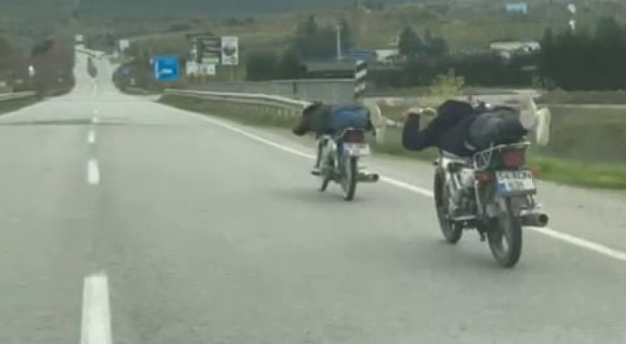 Motosikletin üzerinde tehlikeli yolculuk