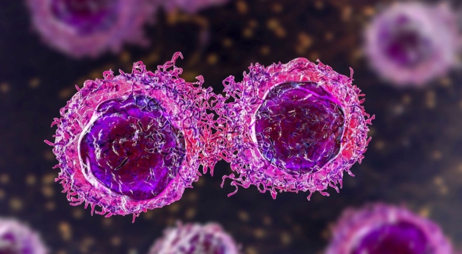 Uzmanlar bir kez daha 'HPV' enfeksiyonlarına karşı aşının önemine değindi