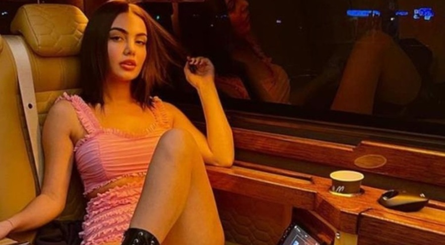 Ece Ronay, silahlı saldırıya uğramıştı! "Beni olayların içine çekmeye çalışıyor"