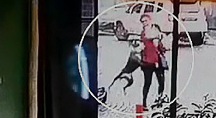 Tekirdağ'da pitbull dehşeti!