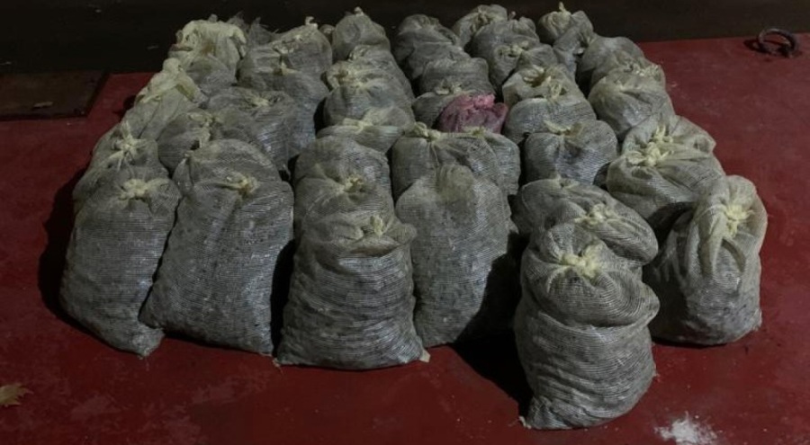 İstanbul'da 1 buçuk ton kaçak midye ele geçirildi