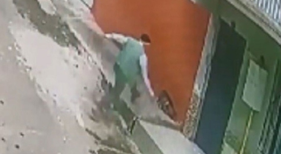 İzmir'de kediye keserle saldırdı!