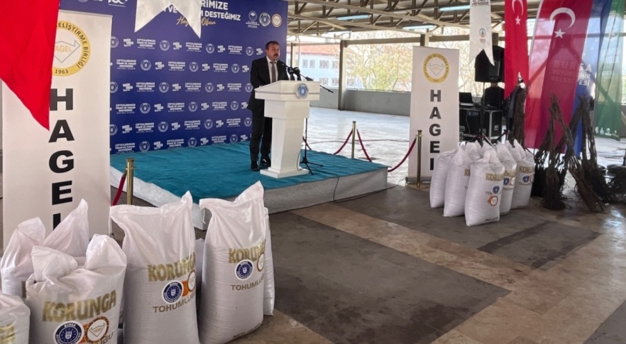 Harmancıklı üreticilere ceviz fidanı ve korunga tohumu dağıtıldı