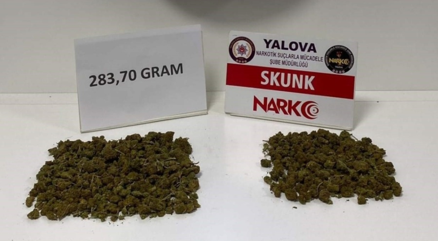 Yalova'da uyuşturucu operasyonu