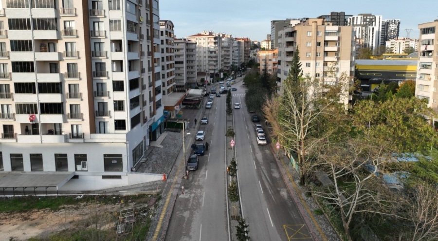 Bursa'ya 125 tane manolya ağacı dikildi