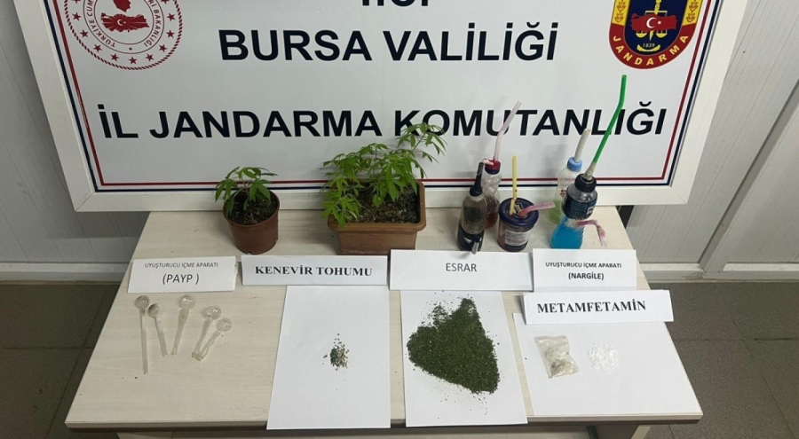 Bursa'da yasa dışı kenevir ekimi operasyonunda bir kişi yakalandı