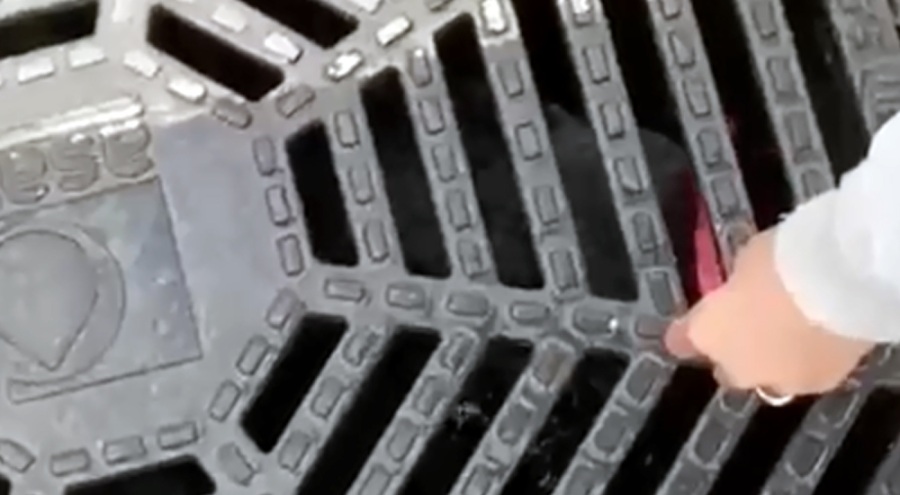 Kanalizasyonda mahsur kalan köpek kurtarıldı