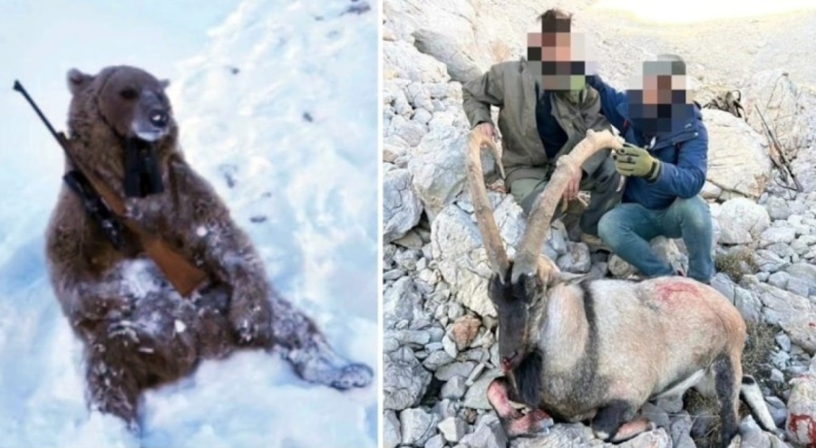 Kaçak avlanan 5 kişiye milyonlarca liralık ceza!