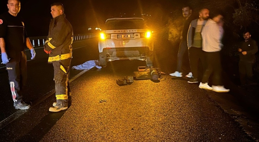 Anne ile oğlu yolun karşısına geçmek isterlerken can verdiler