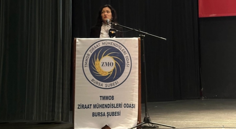 Şirin Rodoplu Şimşek'ten ziraat mühendislerine sitem: Olumlu görüş raporları bizi zora sokuyor
