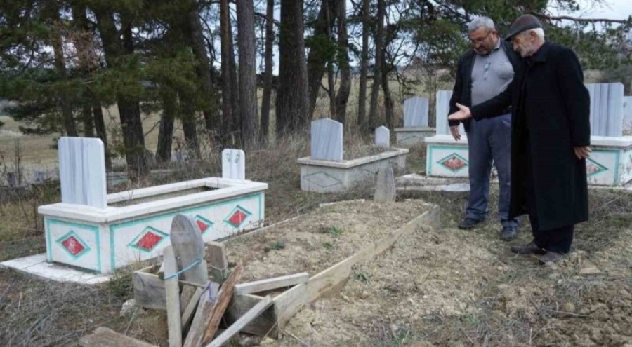 Kış uykusuna yatamayan ayılar mezarları kazmaya başladı