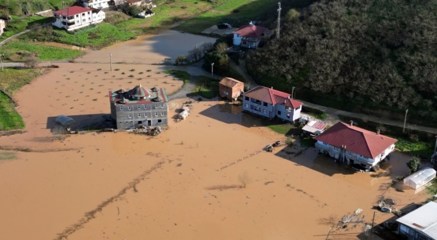 Sakarya Nehri taştı, tarım arazileri sular altında kaldı