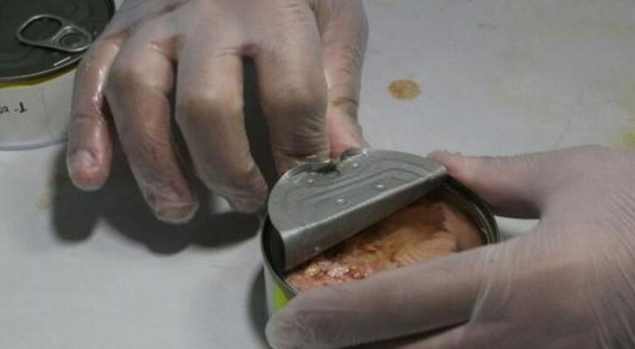 İspanya'da dondurulmuş balık kutusunda tonlarca kokain ele geçirildi