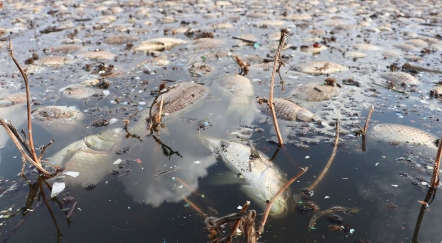 Gaziantep'te korkutan görüntü!