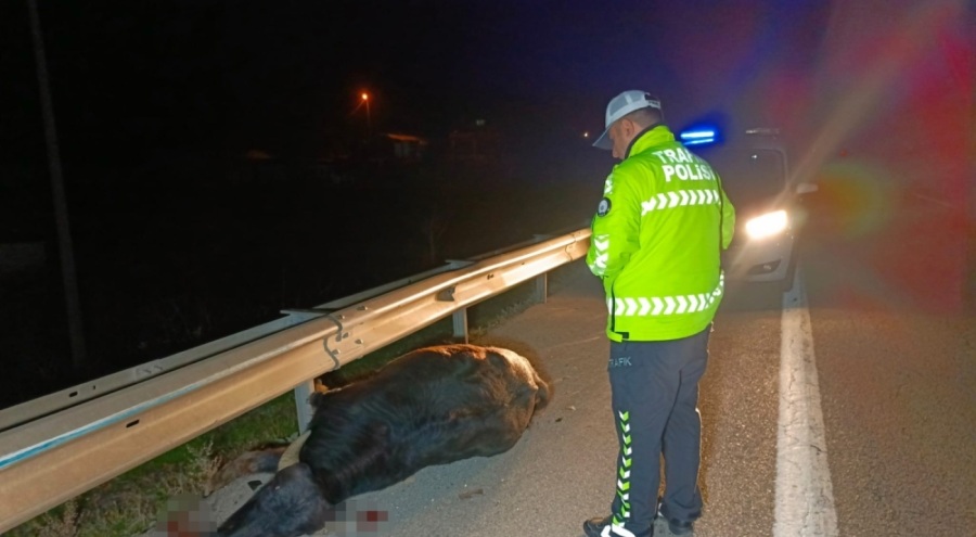 Bursa'da mandaya çarpan anne - kız ölümden döndü!