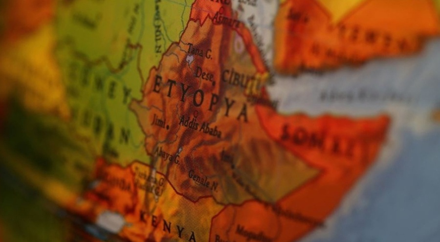 Eski Etiyopya devlet bakanı gözaltına alındı