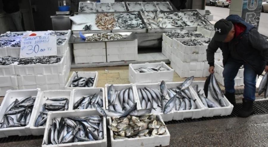 Palamudun tanesi 200 lira