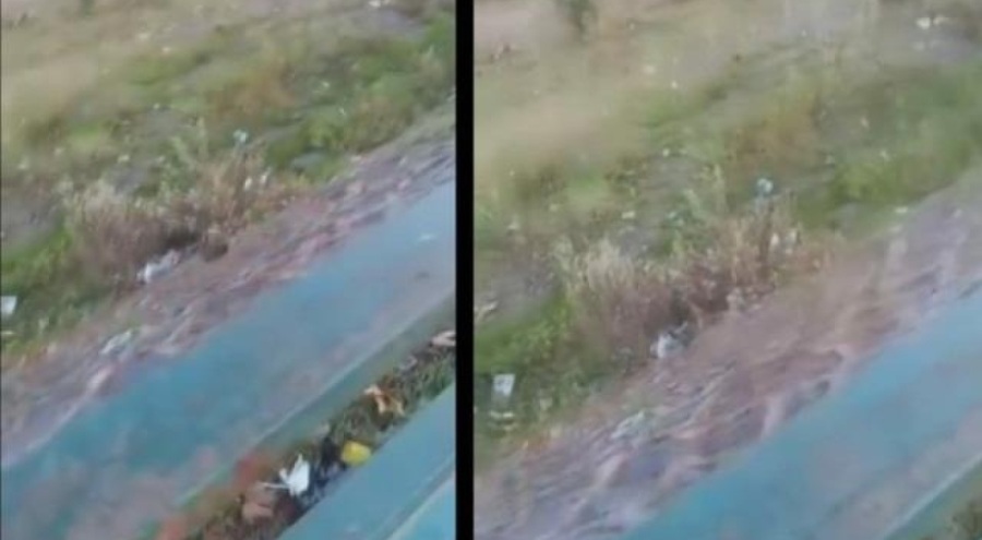 11 yaşındaki çocuk kediyi ırmağa atmıştı! Olay görüntüler hakkında karar çıktı