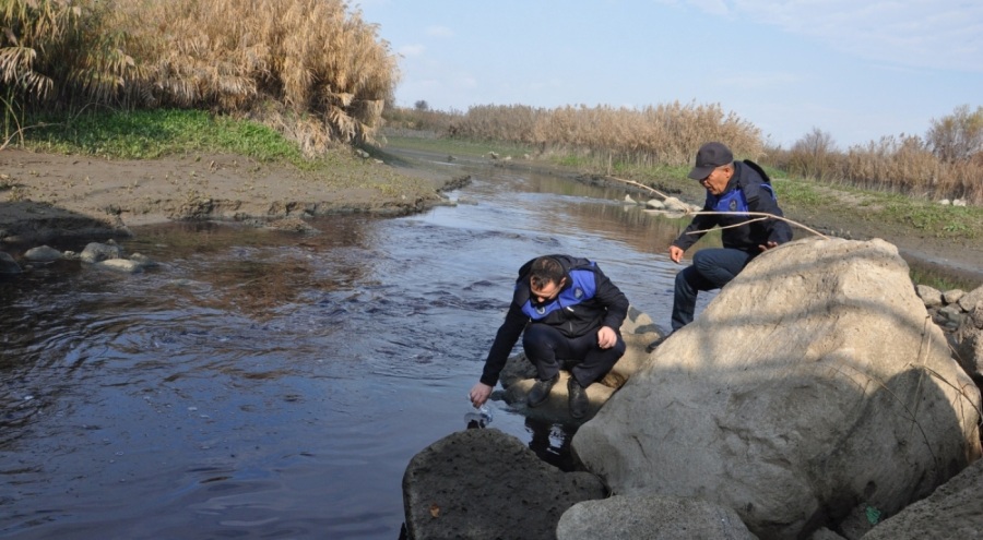 Rengi siyaha dönen ve balık ölümleri yaşanan Karasu Çayı'nda inceleme başlatıldı
