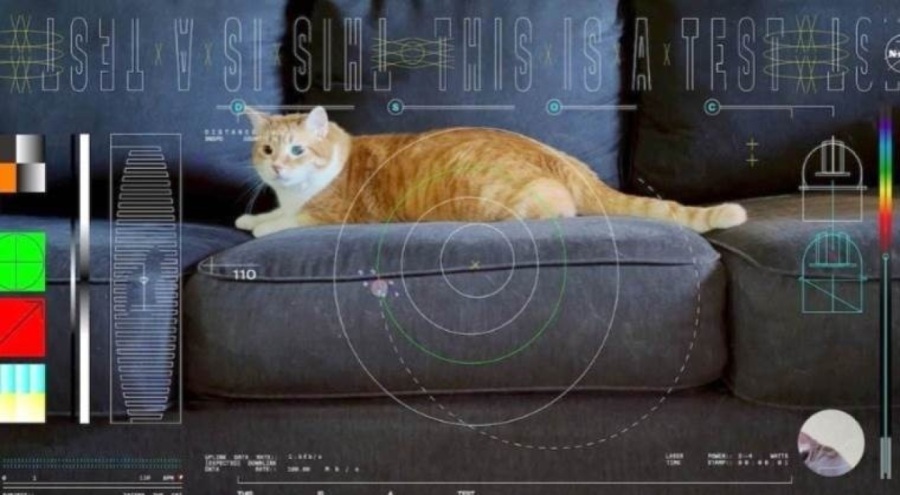 NASA, Dünya ile Ay arasındaki mesafenin 8 katı uzaklıktan kedi videosu gönderdi