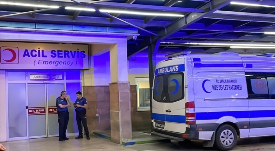 Sahipsiz köpekler 70 yaşındaki kadına saldırdı