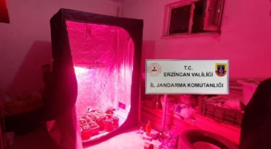 Erzurum'da evde kenevir yetiştirmek için iklimlendirme sistemi kurmuş