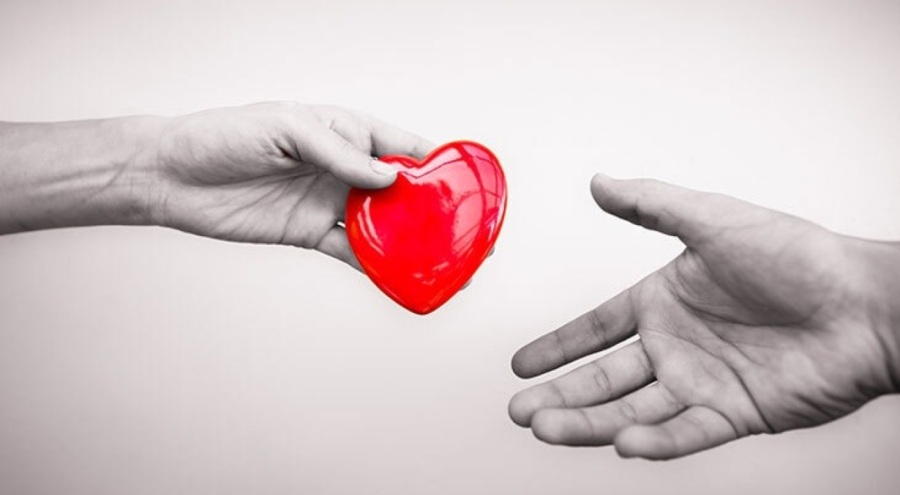 Türkiye'de 32 bin 791 kişi organ nakli bekliyor