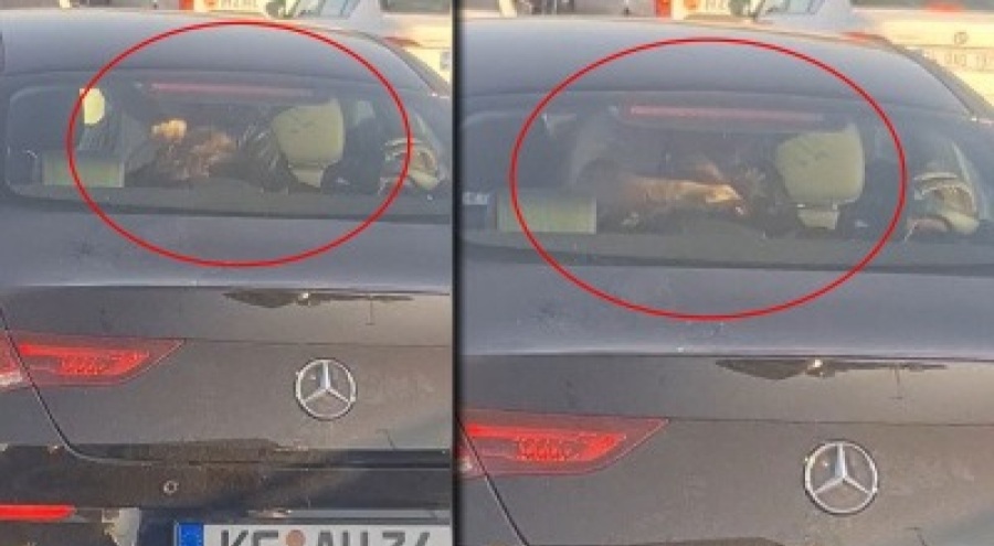 Otomobilde kadına şiddet: Alman polisi müdahil oldu