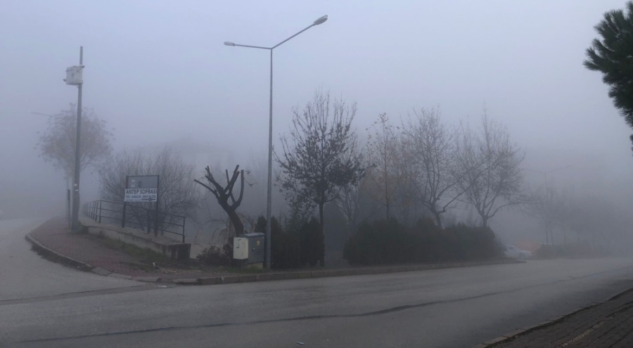 Bilecik'te sabah saatlerinde sis etkili oldu