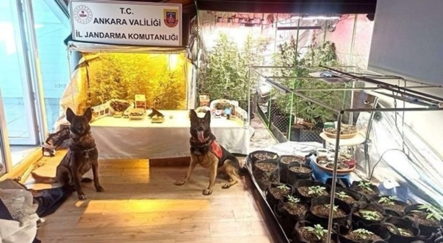 Narkotik operasyonu: 5 gözaltı