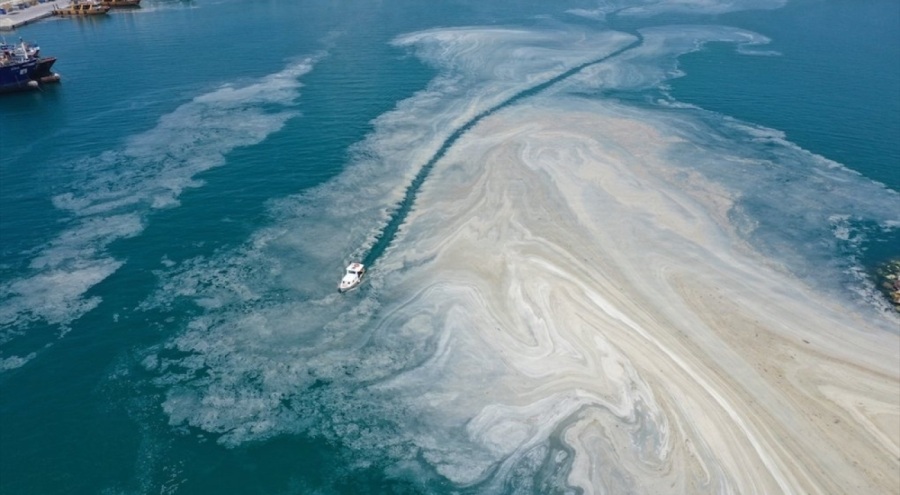 Marmara Denizi'nde korkutan manzara!