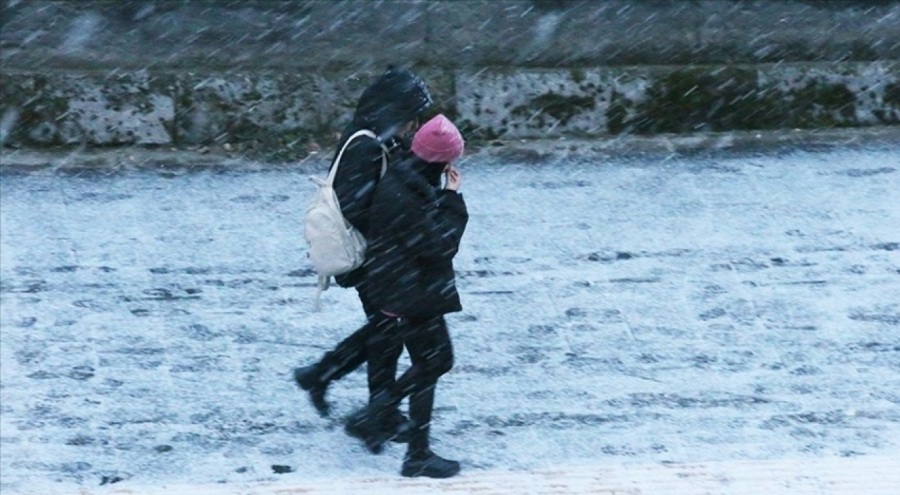 Ağrı ve Kars'ta kar yağışı