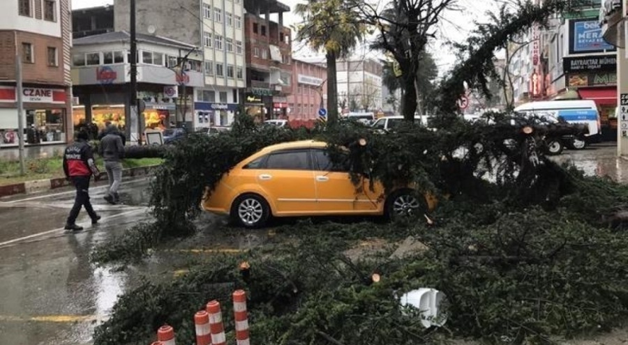 Rize'de ve Kastamonu'da fırtına hayatı olumsuz etkiledi!