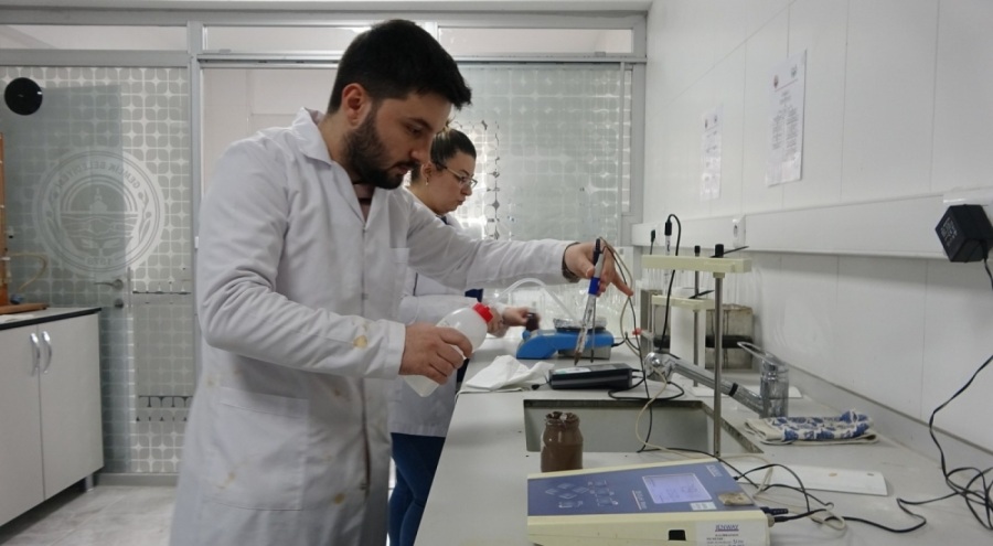 Gemlik'te zeytinin verimliliği için toprak analizleri başladı