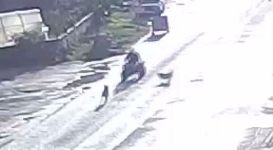 Sahipsiz köpekler kazaya neden oldu!