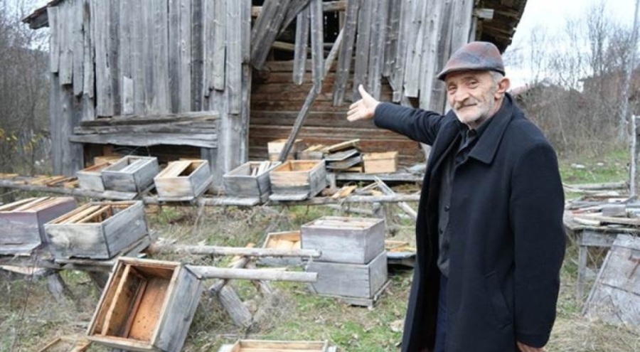 Kış uykusuna yatamayan ayılar, indikleri köyde arı kovanlarını parçaladı