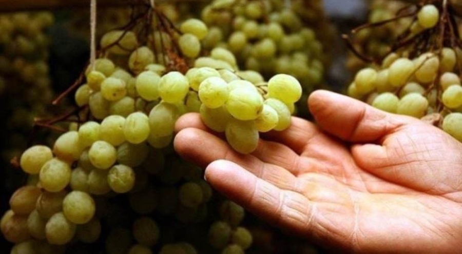 İspanyolların ilginç yılbaşı geleneği