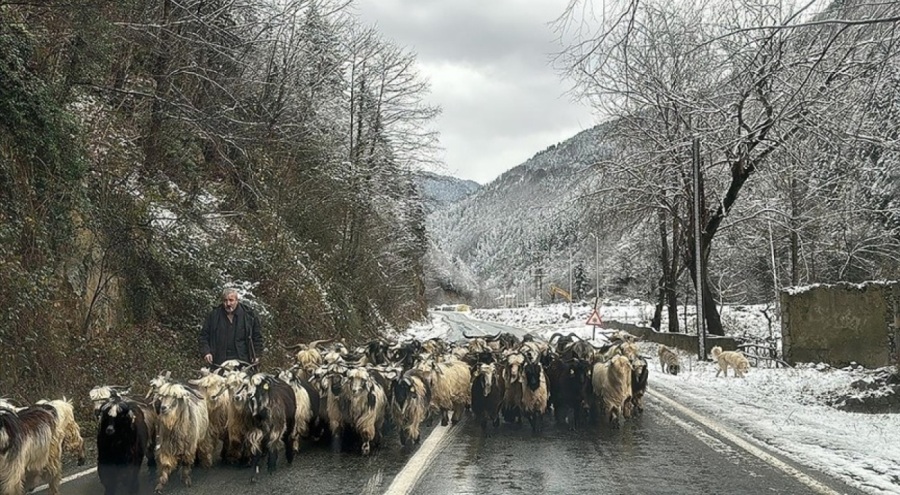 Doğu Karadeniz'de ulaşım sağlanamayan köy yolundan 287'si açıldı