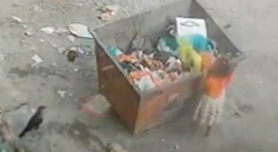 Yemek arıyordu: Çöp konteynırının altında kalarak can verdi