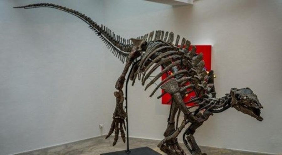 "Yeniden diriltme" çalışmaları hız kazandı!