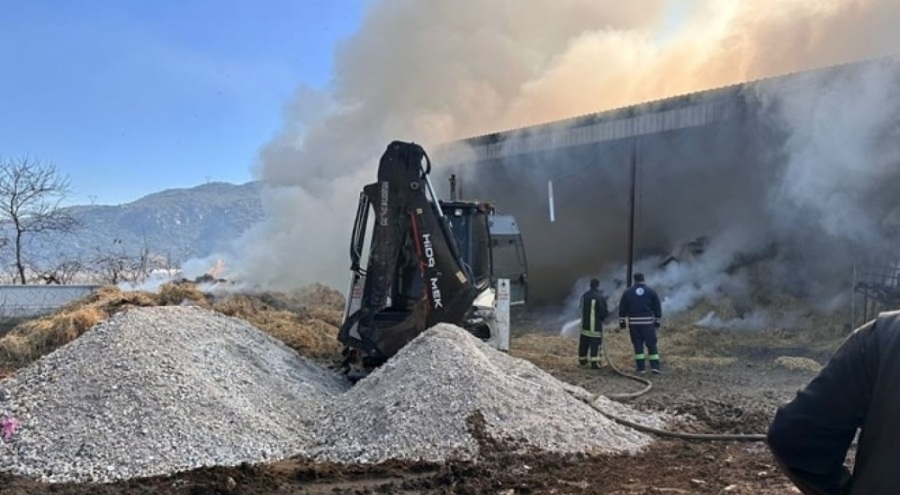 Elektrik kaçağı sonucu 15 ton saman balyası yanarak kül oldu